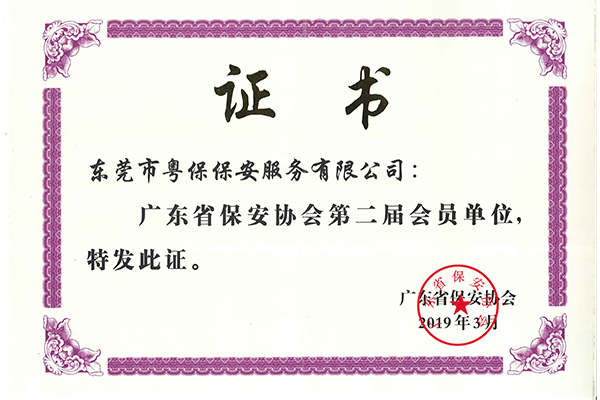 专业保安公司