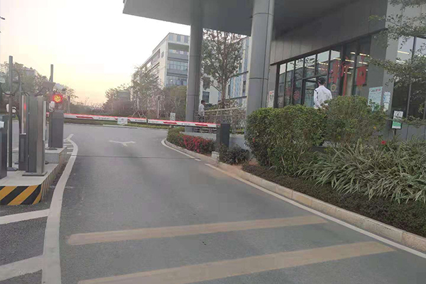01.jpg